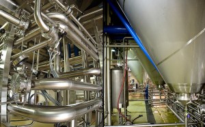 Church of Fermentology Cellaring