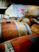 lambic2013barrels